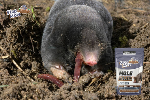 Kāda ir atšķirība starp repelentiem un toksiskiem produktiem dzimumzīmju likvidēšanai, un kā izvēlēties labāko variantu atkarībā no situācijas?