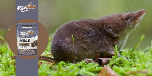 Stop Mole apstrāde: piemērota visa veida augsnei un klimatam?